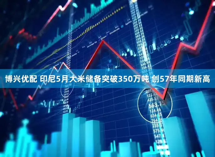 博兴优配 印尼5月大米储备突破350万吨 创57年同期新高