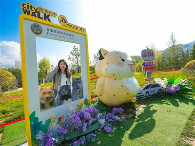 米涂配资 双节叠加催生旅游热！青海整体订单量增长81%